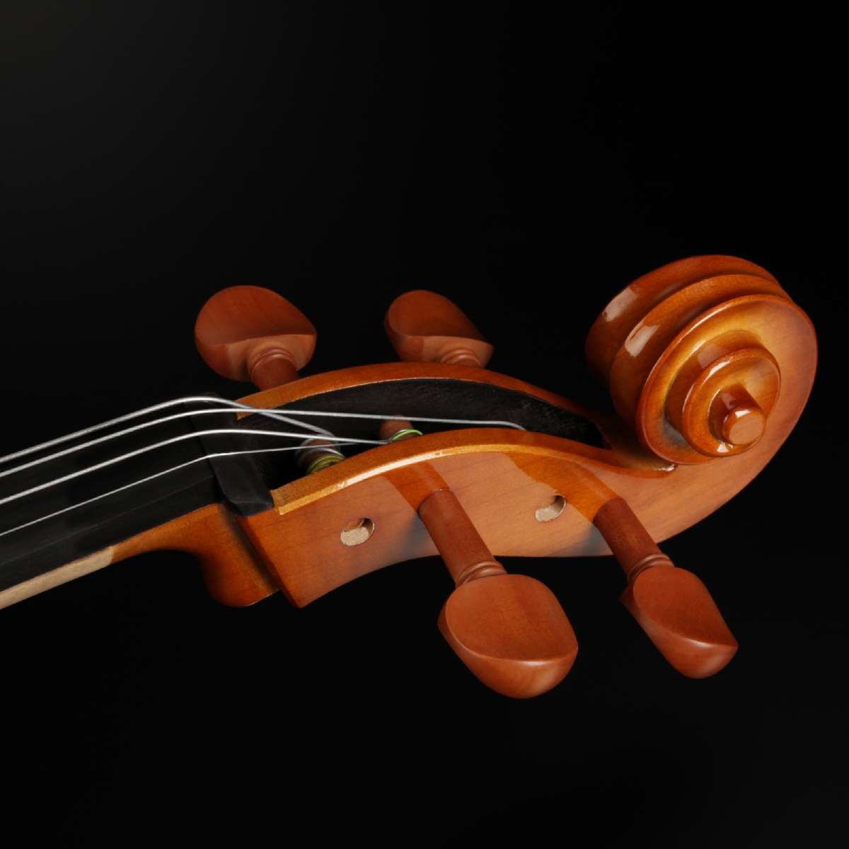 Violoncelo 4-4 CE200 - Eagle-5